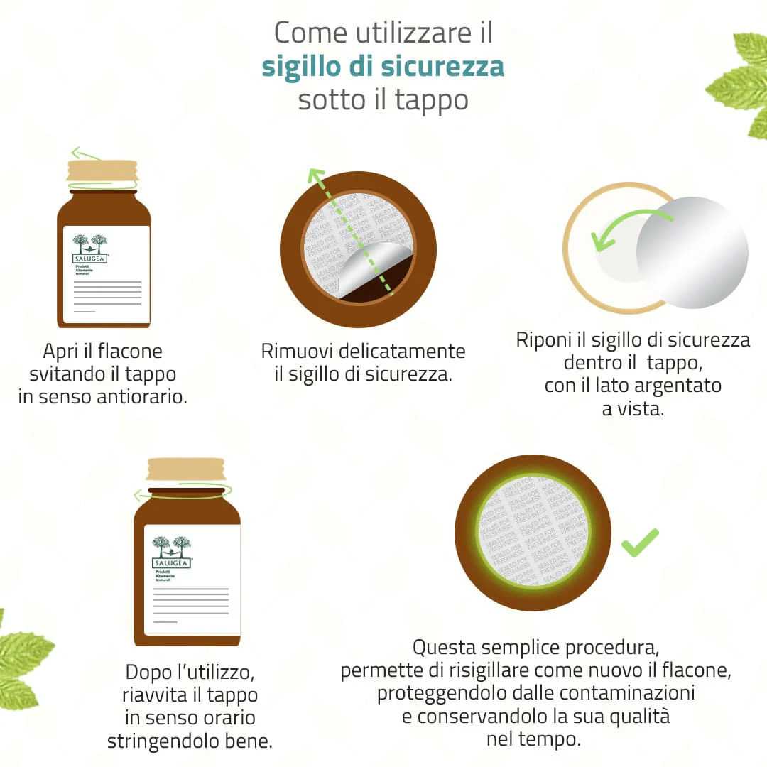 Reflugea Rapido - Image 5