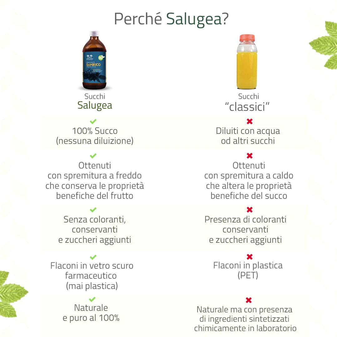 Succo di Sambuco Bio - Image 5